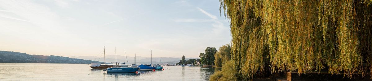 Seeufer Kilchberg Sommer