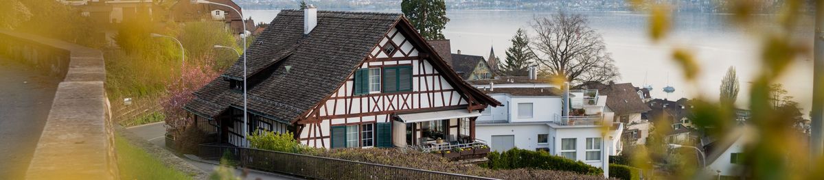 Morgenstimmung Seeblick Kilchberg Frühling