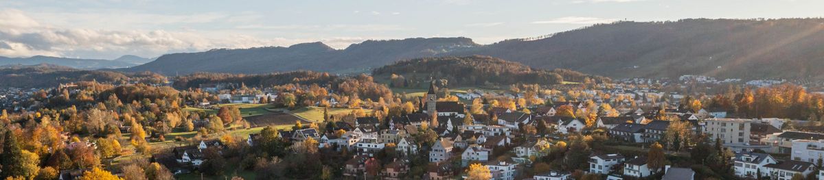 Luftaufnahme Kilchberg Herbst
