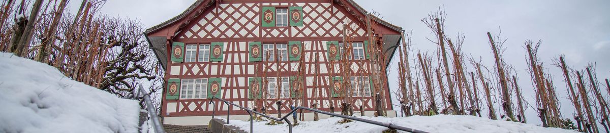 Kilchberg im Winter