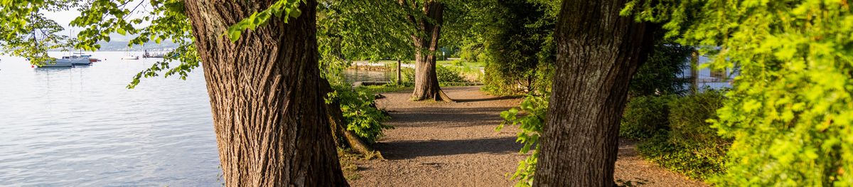 Seepromenade 