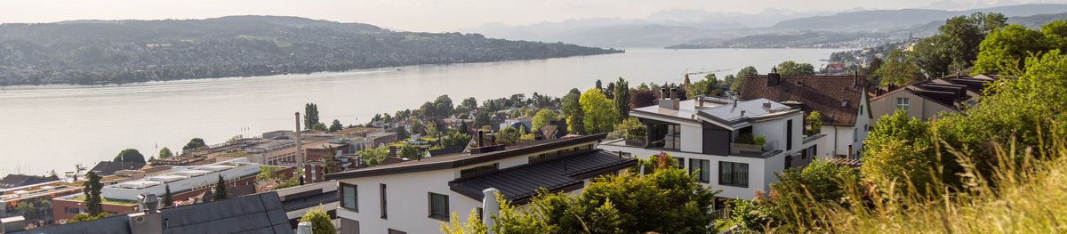 Blick über den Zürichsee Richtung Alpen Frühling