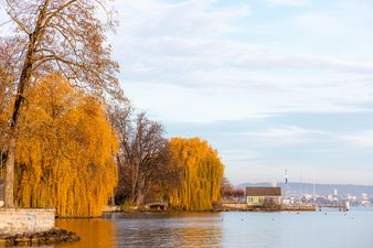 Stimmungsvoller Herbst am Zürichsee, Kilchberg, Schiffstation Bendlikon