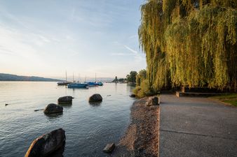 Am Zürichseeufer in Kilchberg, Morgenstimmung