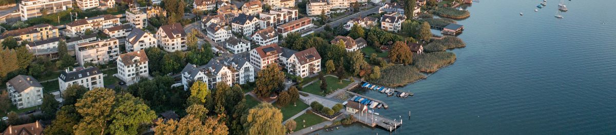 Luftaufnahme Seeufer Herbst