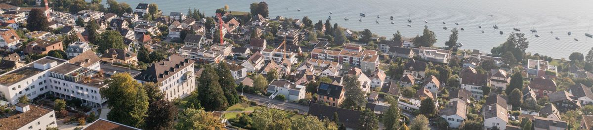 Luftaufnahme Seeufer Kilchberg Sommer