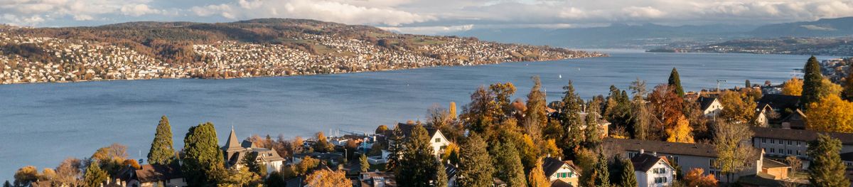 Luftaufnahme See und Häuser Herbst