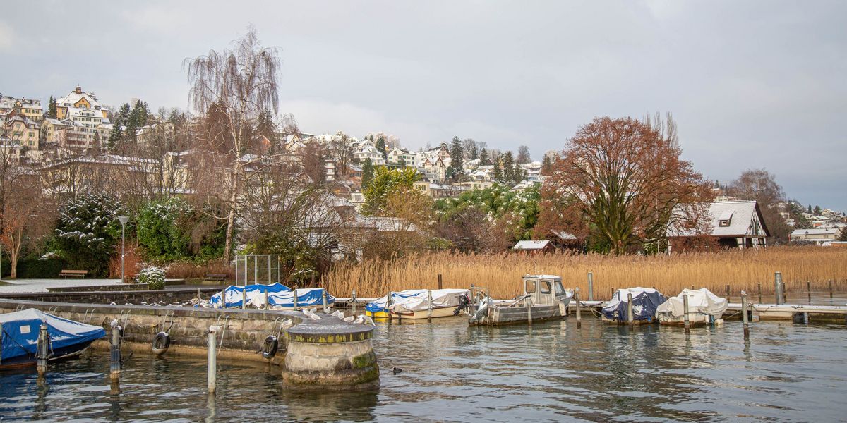 Boote im Winter