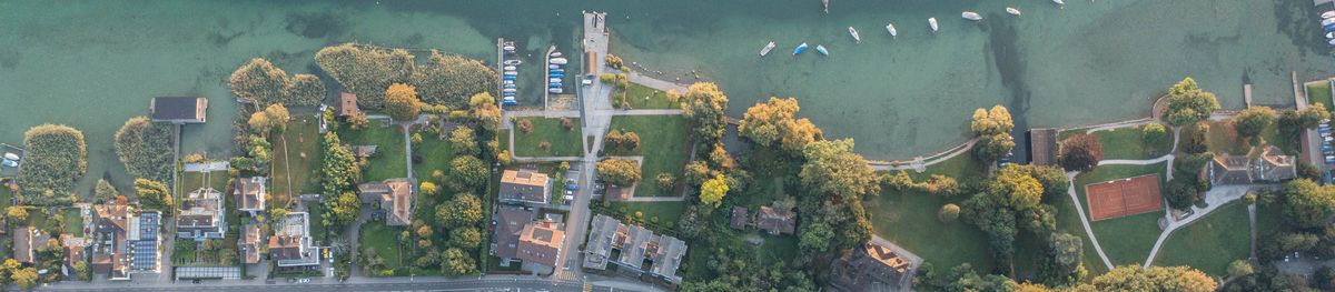 Luftaufnahme Seeufer Kilchberg Sommer