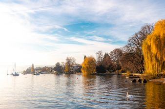 Stimmungsvoller Herbst am Zürichsee, Kilchberg
