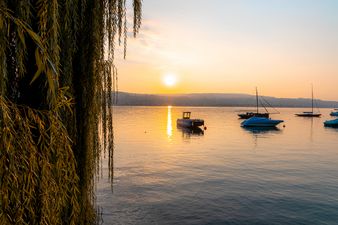 Morgenstimmung Kilchberg Seeufer